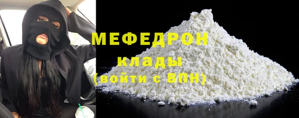 молекула духа Богородицк