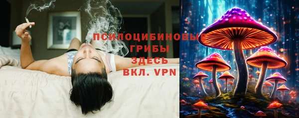 гидропоника Магадан