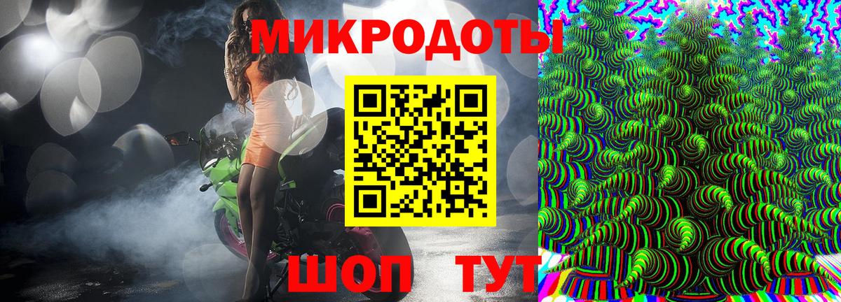 Псилоцибиновые грибы мицелий Нягань