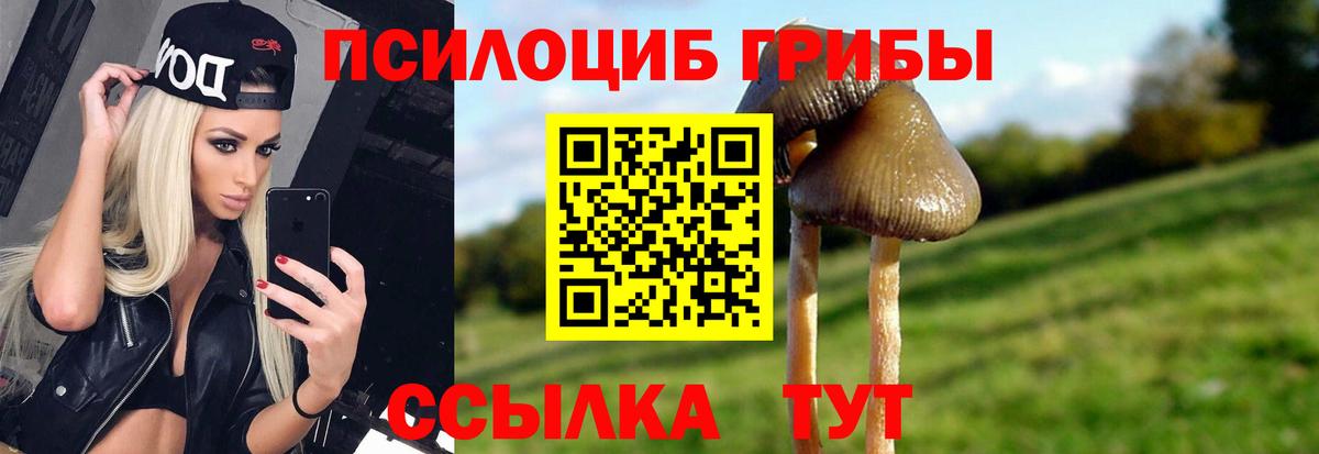 Галлюциногенные грибы Psilocybine cubensis  Галлюциногенные грибы Psilocybe  Нягань 